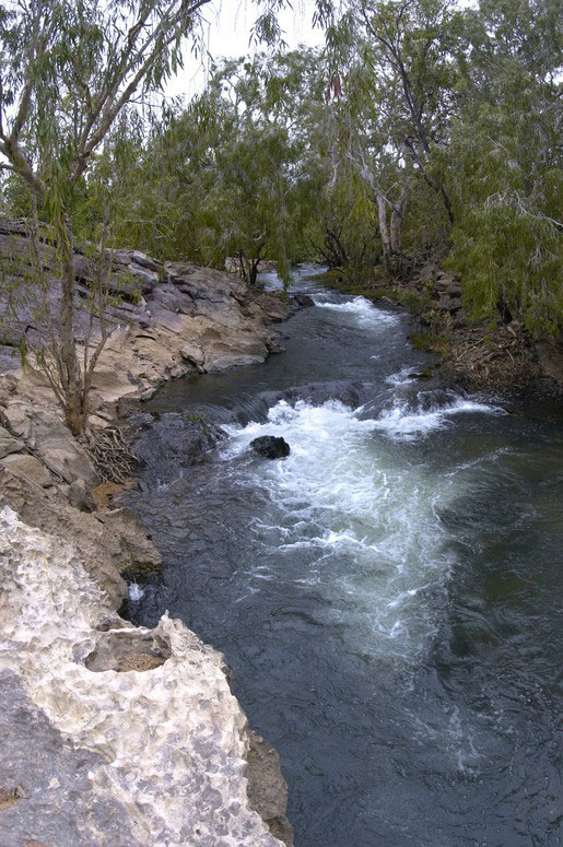 Tjuwaliyn (Douglas) Hot Springs Park courtesy of NTTC Northern Territory tourism for Katherine regional tourism