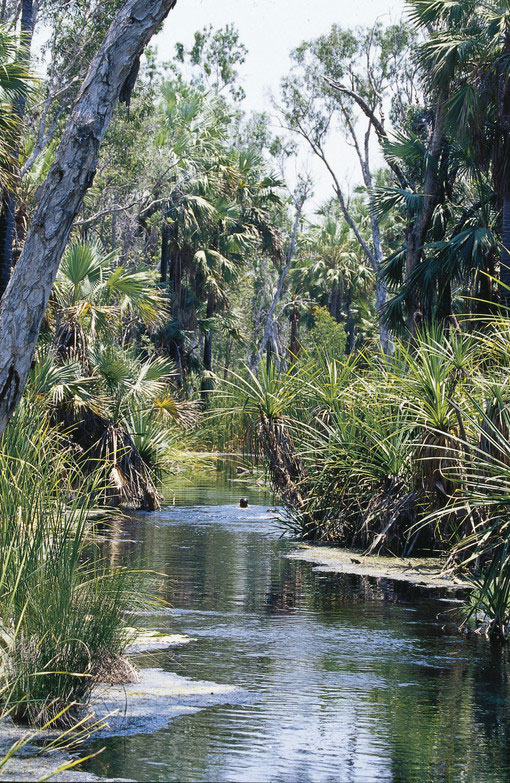 Bitter Springs courtesy of NTTC Northern Territory tourism for Katherine regional tourism